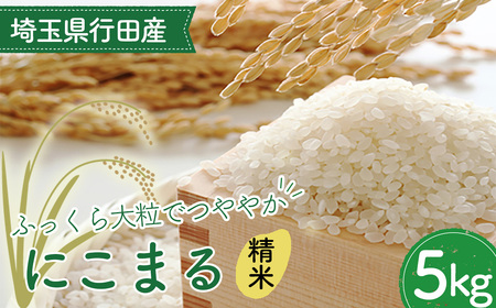 埼玉県行田産にこまる(精米)5kg×1 / にこまる 白米 精米 5kg 特別栽培米 大粒 米 甘み 粘り 精米したて 冷めても美味しい お弁当 おにぎり 毎日食べる米 粒立ち 埼玉県 No.519