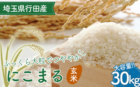 埼玉県行田産にこまる(玄米)30kg×1 / にこまる 玄米 30kg たっぷり 大容量 たくさん ボリューム 特別栽培米 大粒 米 甘み 粘り 冷めても美味しい お弁当 おにぎり 毎日食べる米 健康志向 食感 粒立ち 埼玉県 No.523