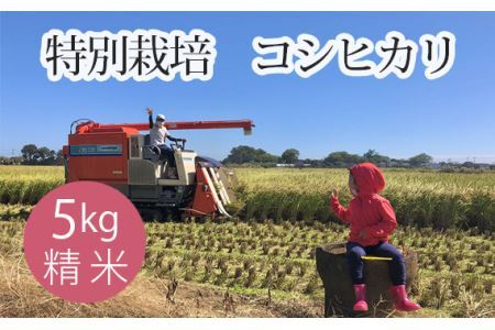 No.299 ʍ͔|@RVqJ@ĂTkg