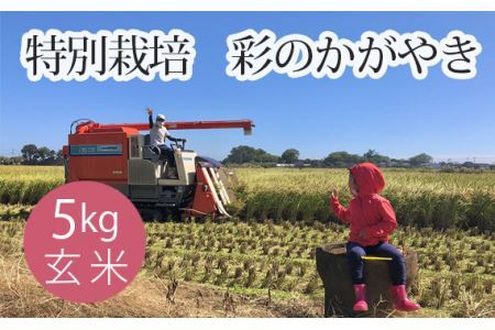 No.302 ʍ͔|@ʂ̂₫@ĂTkg