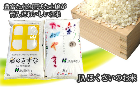 scsYuʂ̂₫vuʂ̂ȁv 10kgie5kgj No.295