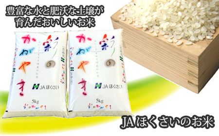 No.296 scsYuʂ̂₫v10kgi5kg×2j
