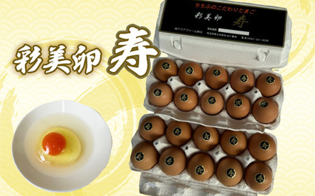 No.423 彩美卵　寿　20個