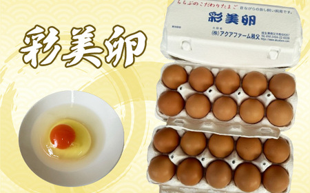 No.425 彩美卵20個