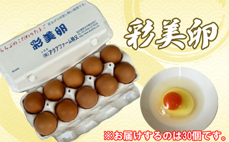No.428 彩美卵30個