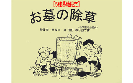 No.487 y5nzn̏in̋nj