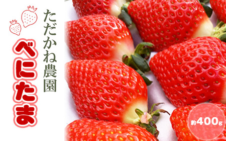 ׂɂ܁@˔_@400g No.548