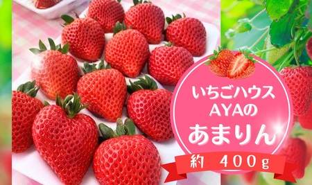 いちごハウスAYAのあまりん 約400g / 果物 フルーツ 苺 イチゴ プレミアム 採れたて 新鮮 濃厚 甘み 爽やか 酸味 低農薬 埼玉県 特産 No.630