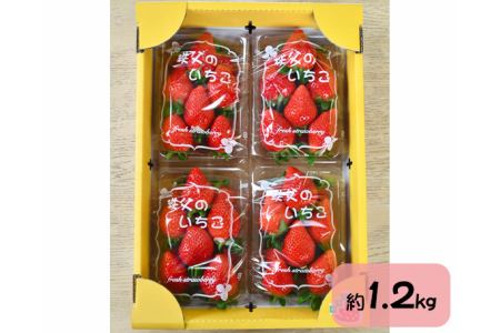 ̂悢Ђ߁@4pbN No.214