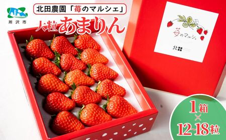 [先行予約/数量限定]苺マルシェ 大粒あまりん 1箱 (12〜18粒) 北田農園 