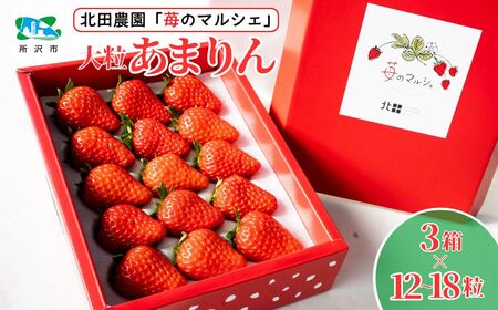 [先行予約/数量限定]苺マルシェ 大粒あまりん 3箱 (12〜18粒) 北田農園 | イチゴ いちご 苺 いちご イチゴ 埼玉県 イチゴ 果物 いちご 所沢市 旬 いちご