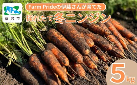 Farm Prideが育てた採れたての絶品!冬ニンジン 彩誉(あやほまれ) 5kg 