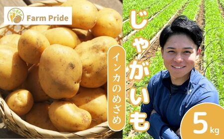 [先行予約]じゃがいも インカのめざめ 5kg | じゃがいも じゃがいも じゃがいも じゃがいも じゃがいも
