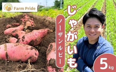 [先行予約]じゃがいも ノーザンルビー 5kg | じゃがいも じゃがいも じゃがいも じゃがいも じゃがいも