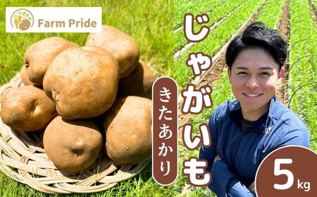 [先行予約]じゃがいも きたあかり 5kg | じゃがいも じゃがいも じゃがいも じゃがいも じゃがいも