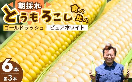 とうもろこし ゴールドラッシュ ピュアホワイト 食べ比べ 6本 | とうもろこし とうもろこし とうもろこし とうもろこし とうもろこし