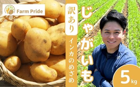 訳ありじゃがいも インカのめざめ 5kg | じゃがいも じゃがいも じゃがいも じゃがいも じゃがいも