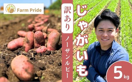 訳ありじゃがいも ノーザンルビー 5kg | じゃがいも じゃがいも じゃがいも じゃがいも じゃがいも