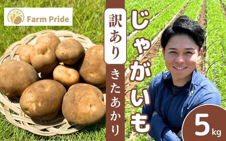 訳ありじゃがいも きたあかり 5kg | じゃがいも じゃがいも じゃがいも じゃがいも じゃがいも
