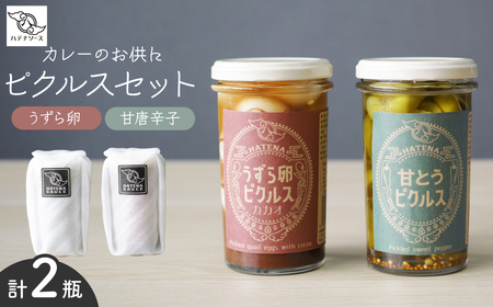 ピクルス カレーのお供にピクルスセット ご自宅用 | ピクルス ピクルス ピクルス ピクルス ピクルス