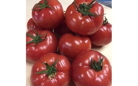 [完熟とまとの新井園]桃太郎トマト 2kg[52210248] 野菜