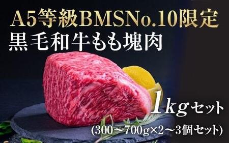 A5 BMSNo.10 јa ubN 1kgZbg[52210701]    ŏ㋉  Mtg{bNX 蕨 ōi ɘa
