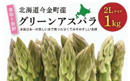 【先行予約】北海道今金町産　春取り新鮮グリーンアスパラ2Lサイズ1kg（2024年4月上旬～5月上旬発送） 新鮮 野菜 アスパラ アスパラガス グリーンアスパラ  北海道 2L  食品 北海道 今金町 F21W-169