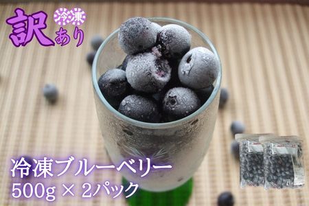 【訳あり】シルクファーム産　冷凍ブルーベリー1000g（500g×2パック）