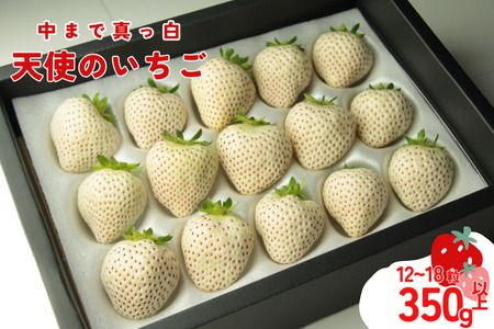 [発送1〜4月]天使のいちご 350〜400g 白いちご [苺] イチゴ おおきい スイーツ 白い 果物 ふるさと納税 うまい フルーツ 期間限定 人気 まるい 甘い 旬 直送 おすすめ ストロベリー 苺ジャム 好きのため 