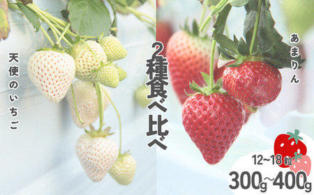 発送1月〜[先行受付]紅白いちご 2種食べ比べ 「あまりん」&「天使のいちご」300〜350g[苺]あまりん イチゴ おおきい スイーツ あかい 果物 ふるさと納税 うまい フルーツ 期間限定 人気 まるい 甘い 旬 直送 おすすめ ストロベリー 苺ジャム 好きのため 