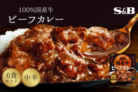 「S&B」国産牛ビーフカレー(中辛)170g×6個[S&B]SB 国産牛100% お手軽 レンジ対応 湯煎 簡単調理 楽ちん おかず 夕食 中辛 グルメ レトルト エスビー 食品 埼玉県 加須市 加須 お取り寄せ 返礼品 ふるさと納税 送料無料 送料込み