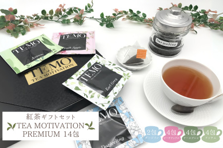 TEA MOTIVATION PREMIUM 4種 14包