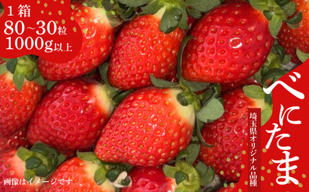 �w�ׂɂ��܁x��ʐ��܂�̊󏭂����� 1000g �ȏ�y�ׂꂪ�C�ɂȂ�Ȃ�������z ������ �C�`�S �