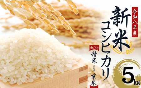 [令和8年産]先行予約受付中!水野農園の加須市北川辺産 コシヒカリ 5kg [選べる!精米or玄米]|お米 米 令和8年 こしひかり 新米