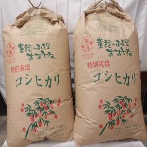 特別栽培米コシヒカリ 精米または玄米のままで30kg 玄米のまま30kg×1袋