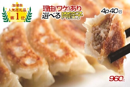 [理由(わけ)あり]肉汁溢れる「冠生園」の冷凍肉餃子 108個(18個入×6パック)