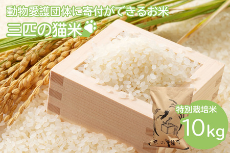 �O�C�̔L��/�����ی�Ɍg����/���ʍ͔|�� 10kg