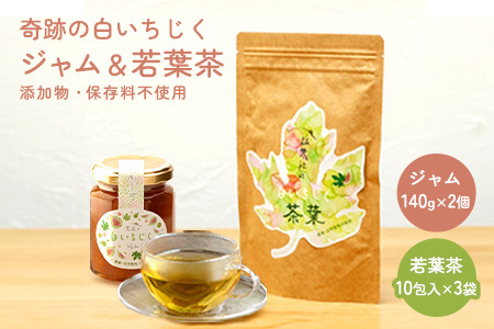 「奇跡の白いちじくジャム(140g× 2個)と若葉茶(3袋)」奇跡の詰め合わせ いちじく