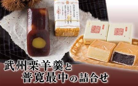 武州栗羊羹と普寛最中の詰合せ ご当地 菓子 銘菓 和菓子 栗 ようかん もなか セット 詰合せ お茶菓子 お茶請け 御菓子司せきね 食品 関東  F5K-537
