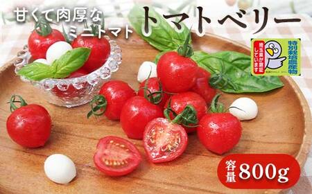 [特別栽培農産物]ファームサイドの朝採り トマトベリー 800g 野菜 ミニトマト プチトマト 特別栽培 農産物 サラダ 生 食品 本庄産 関東 F5K-512