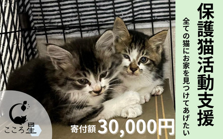 【お礼の品なし】保護猫活動支援〜野良猫から地域で見守るさくら猫に～ 寄付額30,000円 猫 保護 支援 保護猫 ねこ 猫 ネコ 里親 猫 こころ星 猫 保護活動支援 寄付 埼玉県 東松山市