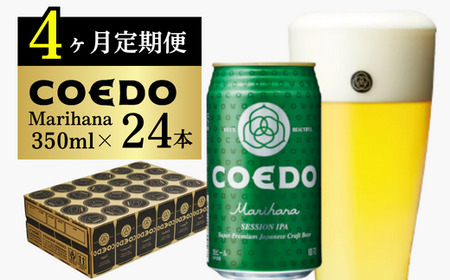 コエドビール缶24本×4ヶ月[毬花](350ml×24本) | 地ビール クラフトビール 地ビール 東松山市