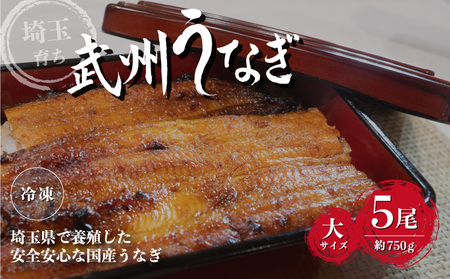 武州うなぎ 国産うなぎ蒲焼 5尾 大サイズ 冷凍真空パック（約750g） | うなぎ うなぎ うなぎ うなぎ うなぎ