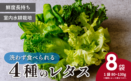 [洗わず食べられる・室内水耕栽培] 4種のレタス 8袋(80〜130g/袋) 