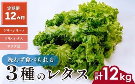 y12z 킸HׂEk͔| 3̃^X 11kg(500g×2)×12 | ^X Rs