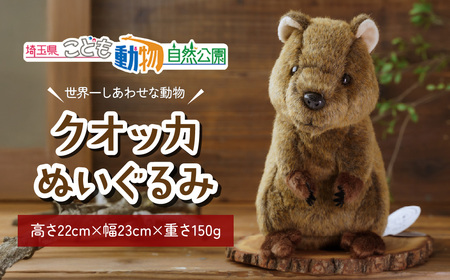 クオッカぬいぐるみ | ぬいぐるみ クオッカ こども動物自然公園 プレゼント オリジナル グッズ ホビー 動物 小サイズ かわいい クオッカグッズ 埼玉県こども自然動物公園 埼玉県 東松山市