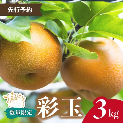 梨 彩玉 約3kg(5〜7個入り) 先行予約 | 梨 彩玉 埼玉県 東松山市