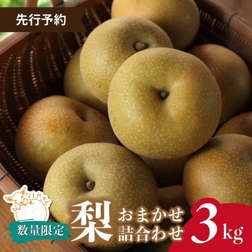 梨 おまかせ詰合せ 約3kg(6〜9個入り) 先行予約 | 梨 埼玉県 東松山市