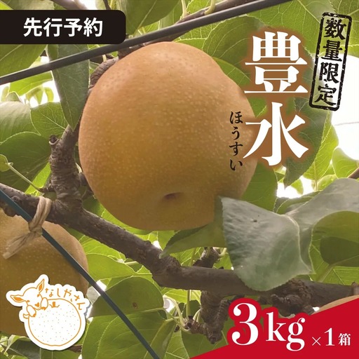 梨 豊水 約3kg(5〜7個入り) 先行予約 | 梨 豊水 埼玉県 東松山市