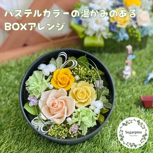 プリザーブドフラワー レンツ 春日部市 シュガーパイン